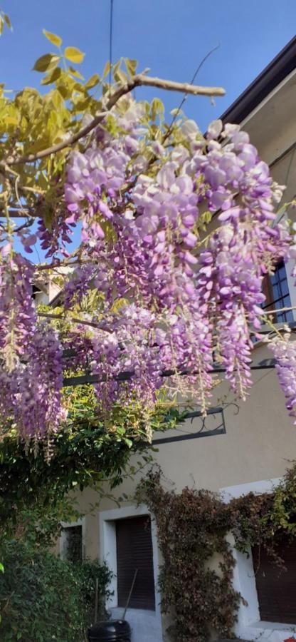 Hotel Residenza La Dimora Imperfetta Salionze Exterior foto